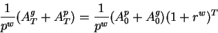 \begin{displaymath}\frac1{p^w}(A^g_{T}+A^p_{T})=\frac1{p^w}(A^p_0+A^g_0)(1+r^w)^T\end{displaymath}
