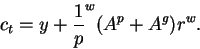 \begin{displaymath}c_t=y+\frac1p^w (A^p+A^g) r^w.\end{displaymath}
