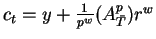 $c_t=y+\frac1{p^w} (A^p_{\bar{T}}) r^w$
