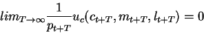 \begin{displaymath}lim_{T \rightarrow \infty}
\frac{1}{p_{t+T}}u_c(c_{t+T},m_{t+T},l_{t+T})=0\end{displaymath}